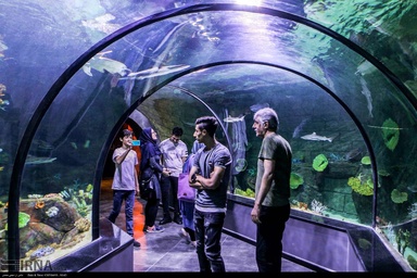 Iran’s biggest aquarium tunnel opens in Anzali port