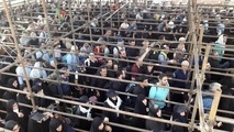 ویدیو|خروج بیش از ۱۲۵هزار زائر اربعین از مرز مهران در ۲۴ ساعت گذشته