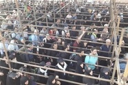 ویدیو|خروج بیش از ۱۲۵هزار زائر اربعین از مرز مهران در ۲۴ ساعت گذشته