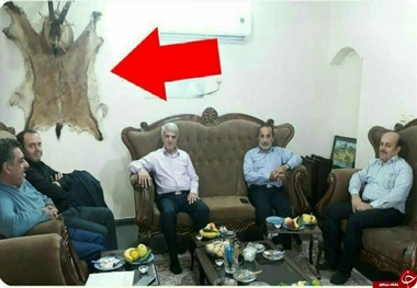 توضیح اداره محیط زیست مازندران: گوزن نبود، بز کوهی بود!
