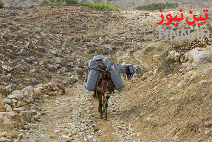 کولبر