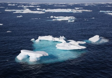 Climate Change Hitting Top U.S. Fishery in the Arctic, NOAA Report Says