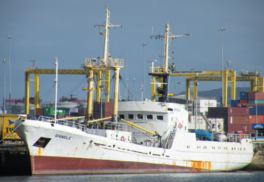Shipowners propose solutions to rising demurrage