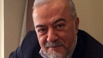 کاربری پل خلیج فارس فقط ریلی باشد/ قشم را دچار مشکلات زیست محیطی نکنیم