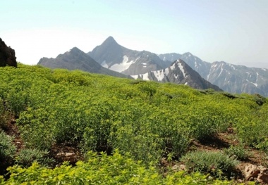 سرمایه ۱۳۰میلیاردی برای ۴پروژه گردشگری کهکیلویه و بویراحمد