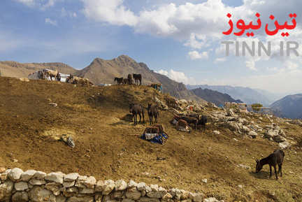 کولبر