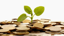 Environmental balance sheet: an alternative option for EU