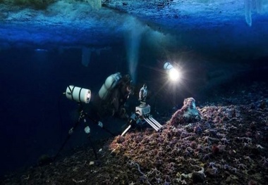 Research is critical for lasting marine protection