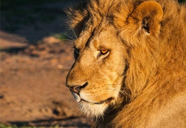 Africa, 2nd fastest growing tourism region in the world
