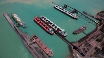 Stena Line Urged to Stop Transporting Unweaned Calves