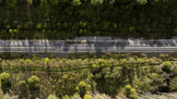 Siemens-Led Consortium to Modernise Signalling Across Romania