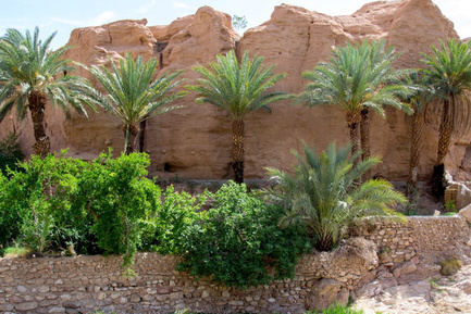ازمیغان