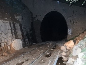 تلاش