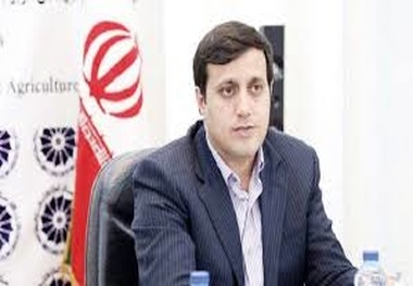 حمل‌ونقل متولی واحد ندارد