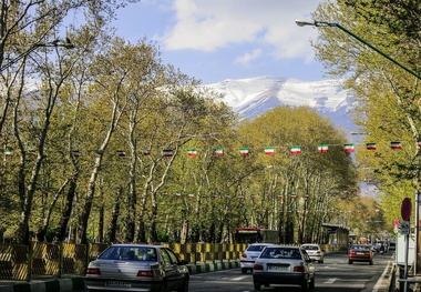 کارنامه نجفی از نگاه یک فعال محیط‌‌‌ زیست

