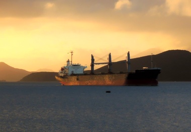 Diana Shipping Signs Charter Deal with Berge Bulk