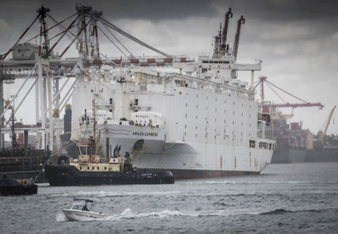 Australian Sheep Exporters to Stop Shipments to Middle East During Summer Months