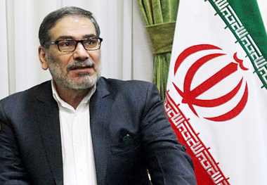 جزئیات تازه از سانحه هواپیمای اوکراینی از زبان دبیر اسبق شورای عالی امنیت ملی
