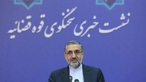 توضیحات سخنگوی دستگاه قضا در مورد 2 پرونده سقوط هواپیمای یاسوج و قطار سمنان 