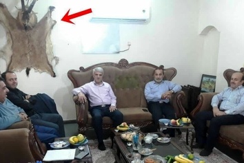 جسد قوچ روی دیوار جلسه مسئولان محیط زیستی!