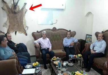 جسد قوچ روی دیوار جلسه مسئولان محیط زیستی!