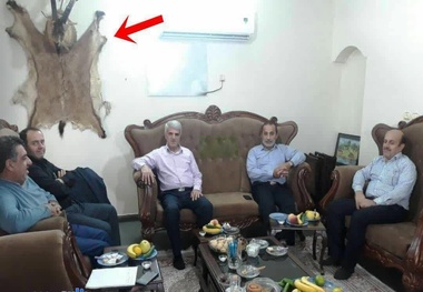 جسد قوچ روی دیوار جلسه مسئولان محیط زیستی!