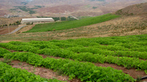 هواپیمای خودران کمک حال کشاورزان می شود