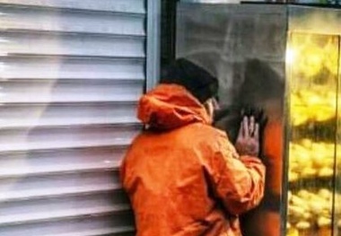 پناه بردن پاکبان از سرمای زمستان به فر برقی 