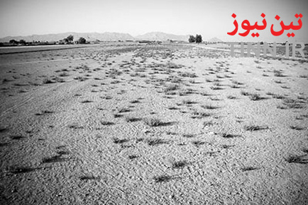 n00026018-r-b-003