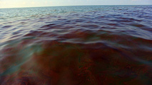 Oil spill near Piraeus extended after tanker sinks