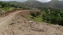 مناقصه آسفالت راه روستایی گل آخر