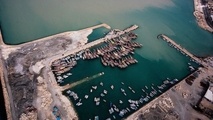 Bushehr seafood exports at 21,000 tons since March