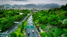 پیگیری مطالبات معوق پیمانکاران تا هرس ۱۵هزار درخت در قلب تهران
