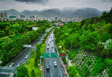 پیگیری مطالبات معوق پیمانکاران تا هرس ۱۵هزار درخت در قلب تهران
