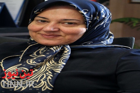 حضور نایب رئیس کمیسیون حمل و نقل اتاق تهران در غرفه تین نیوز