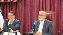 در جلسه انتقادی سازمان بازرسی با خودروسازان چه گذشت؟
