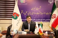  140 Foreign Fleets Mobilized for the Arbaeen Pilgrim Transport from Tehran to Najaf and Karbala 