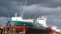 Dry bulk newbuilding orders pick up on improving market sentiment