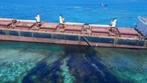 Grounded Bulk Carrier Leaking Heavy Fuel Oil Near UNESCO World Heritage Site