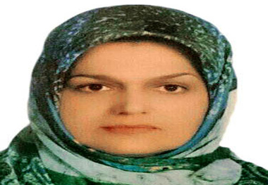 نارسایی‌ ها و چالش‌ های روبرویی با تخلفات ترافیکی و پیامدهای مخرب آن