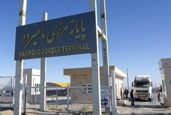 عکس| گمرک ماهیرود غرق در ملخ شد
