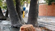قصه‌های خیابان ولیعصر روی نقشه تهران بارگذاری شد