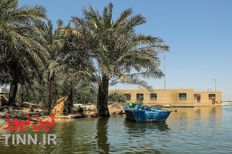 تصاویری از زندگی در تالاب شادگان به بهانه روز جهانی تالاب‌ها