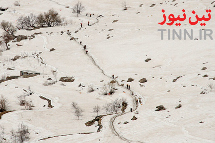کولبر