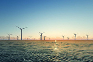  French Offshore Wind Sector Impacted by Government Crisis