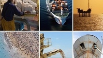 چرایی نقش اقتصاد دریایی هند در تعامل با ایران