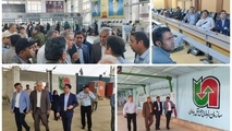 بازدید مدیرکل دفتر امور فنی و مهندسی ساختمان سازمان راهداری از پایانه‌ های مرزی ایلام‌