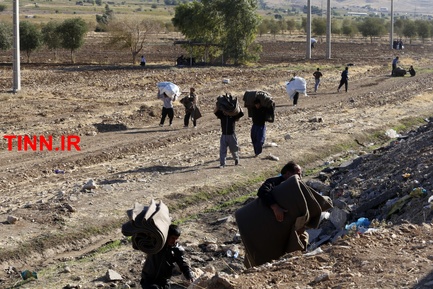 گزارش تصویری