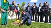 غرس تعداد ۲۵۰ اصله نهال در راه آهن جنوب شرق