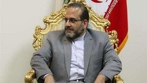 رفتار اوکراینی ها درباره سقوط هواپیما سیاسی است